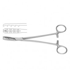 Bircher-Ganske Catrilage Seizing Forcep Straight Stainless Steel, 20.5 cm - 8"